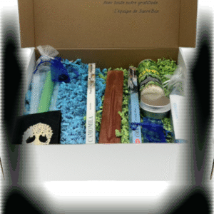 STUDYBOX